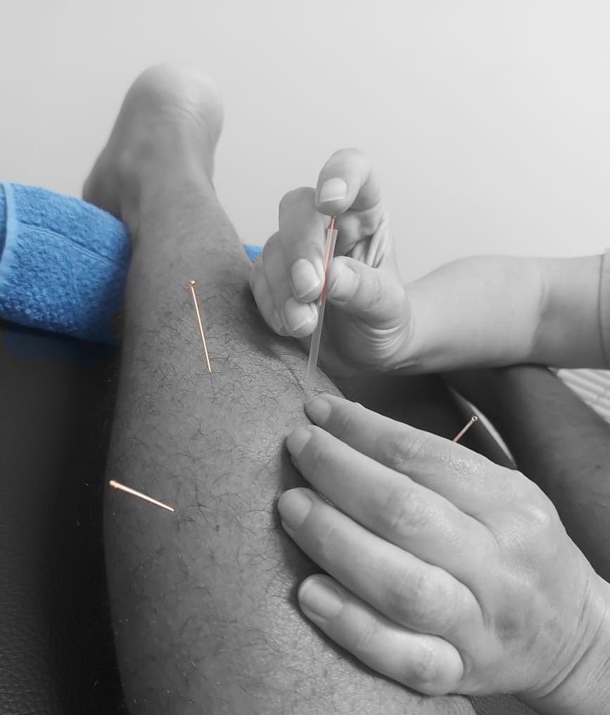 WhatsApp Image 2024-02-16 at 12.43.55 (1)